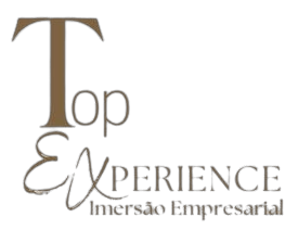 TOP EXPERIENCE Imersao Empresarial Logo removebg preview.png