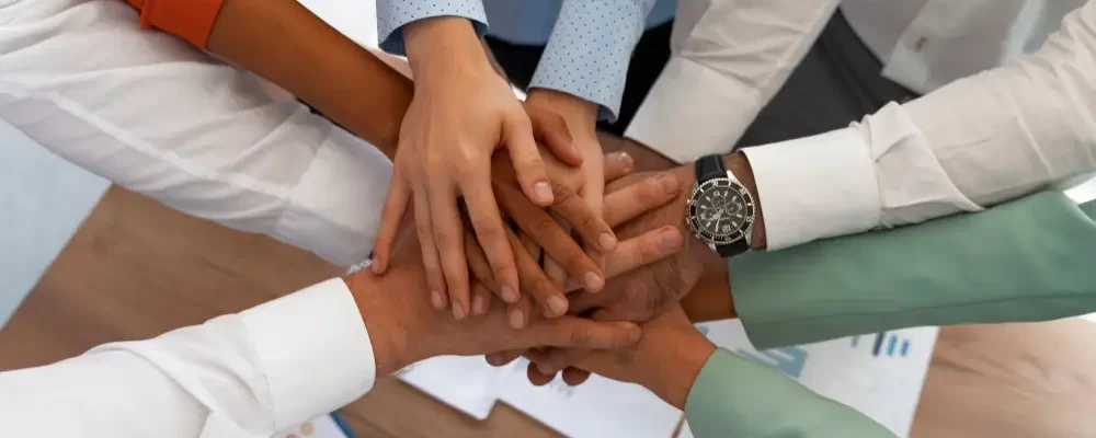 Cultura Organizacional Quando a Estratégia Encontra a Execução Diária